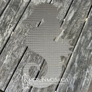 MM360 - Seahorse TS