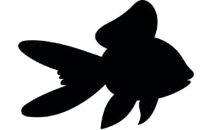 Vector,Drawing,Silhouette,Of,A,Goldfish