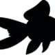 Vector,Drawing,Silhouette,Of,A,Goldfish