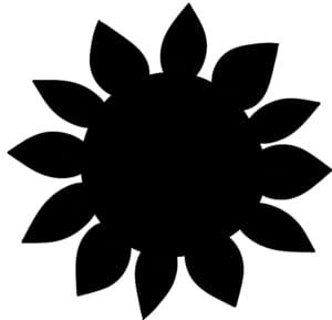 Sunflower,Set,Isolated,,For,Cutting