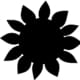 Sunflower,Set,Isolated,,For,Cutting