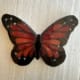 Monarch of the Garden - Final