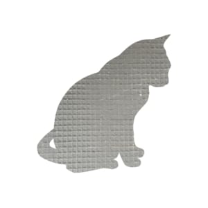 MM1160-Cat-Sitting-TS-scaled