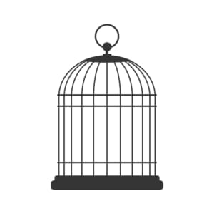 Bird,Cage,,Vector,Design