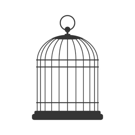 Bird,Cage,,Vector,Design