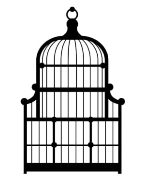 MM1210-Birdcage-2