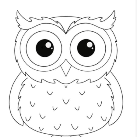 MM1220 - Owl 2