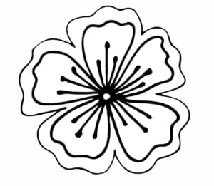 MM1240-Pretty-Flower