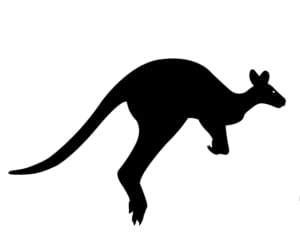 MM1270-Kangaroos-Hopping