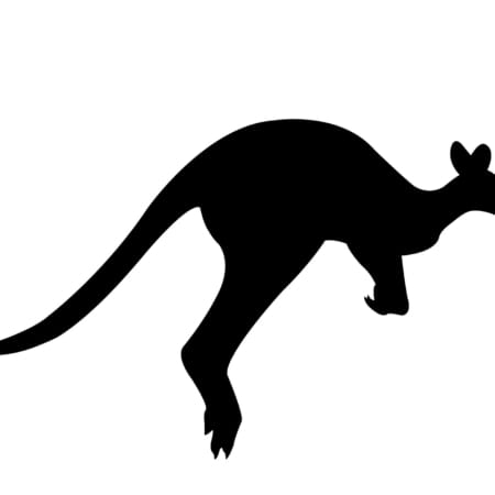 MM1270-Kangaroos-Hopping