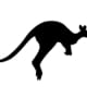 MM1270-Kangaroos-Hopping