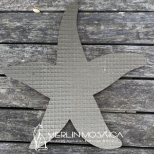 MM350 - Sea Star TS