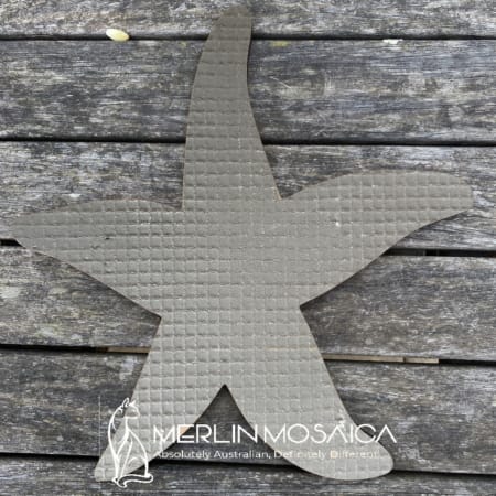 MM350 - Sea Star TS