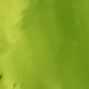 J212 Lime Green