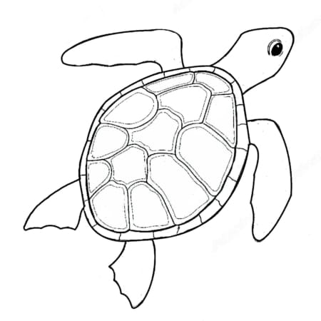MM1280 - Turtle WIP