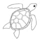 MM1280 - Turtle WIP