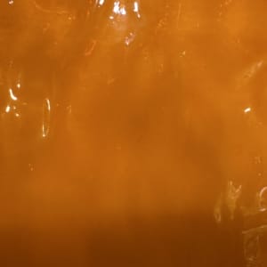 H82-HF Flemish Golden Orange