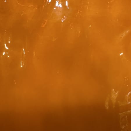H82-HF Flemish Golden Orange