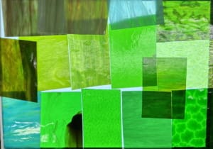 rainforest mystery sq