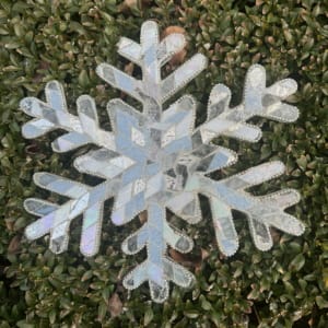 2023-11-12 Snowflake FINAL