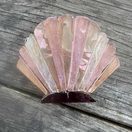 Fan Shell - ungrouted