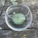 Tealight with candle