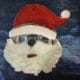 Xmas Santa 4