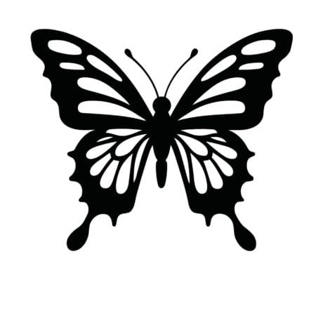 Set,Of,Butterfly,Silhouette,Vector,Illustrations,On,A,White,Background.