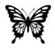 Set,Of,Butterfly,Silhouette,Vector,Illustrations,On,A,White,Background.