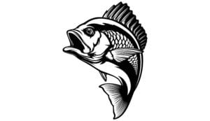 Red,Snapper,Isolated,Vector,Illustration.,Fishing,Logo,Of,Red,Snapper.