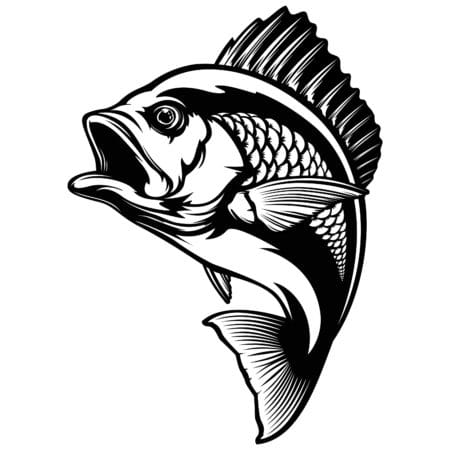 Red,Snapper,Isolated,Vector,Illustration.,Fishing,Logo,Of,Red,Snapper.