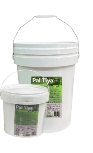 Pal Tiya Product Shot