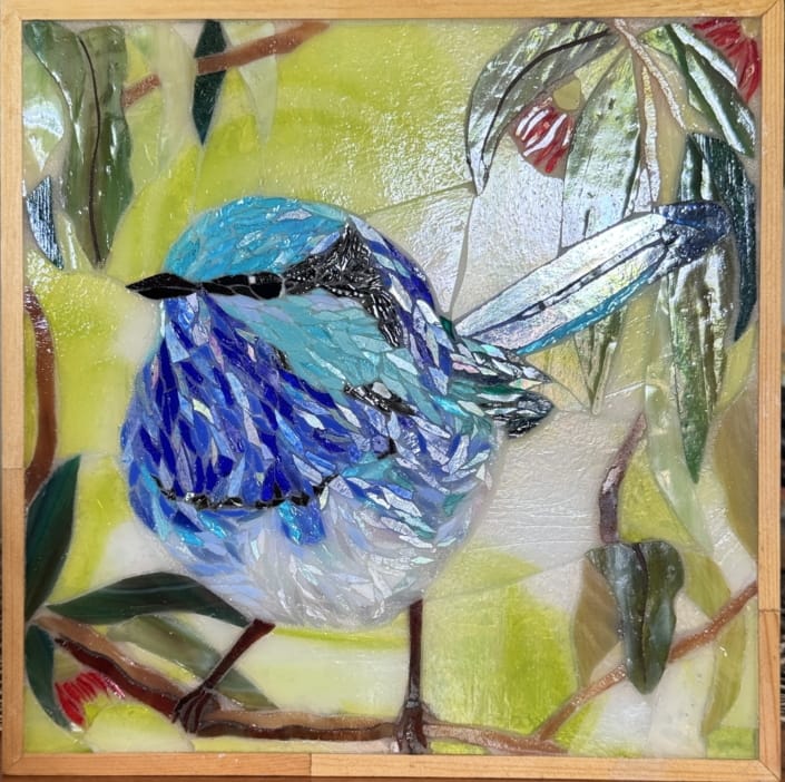 Splendid Fairy Wren with Gum Blossom Splendid Fairy Wren with Gum Blossom