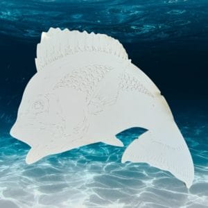 MDF Etched Shapes