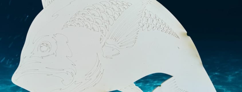 MM1360 Snapper in the Ocean-Photoroom (1) MM1360-Snapper-in-the-Ocean-Photoroom-1