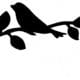 MM1500-One-Bird-on-a-branch-scaled