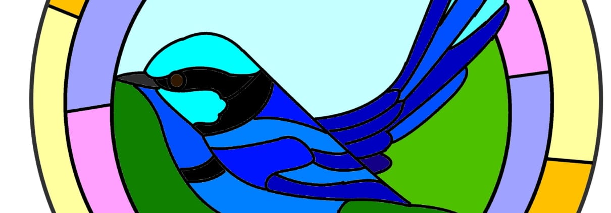 MM1720 - Fairy Wren Cololur