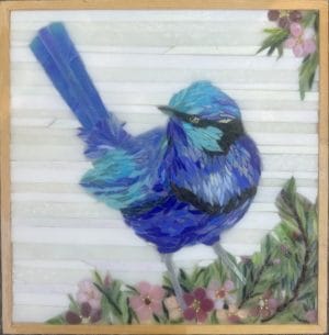 Blue Wren Daytime FINAL