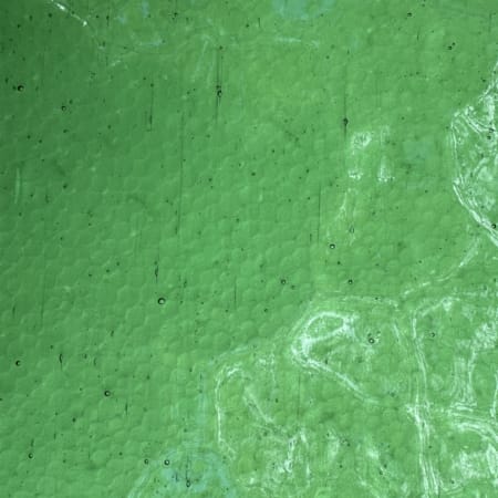 MD314TK-Green-Cathedral-scaled.jpg