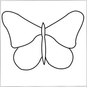 The Butterfly Effect Pack (makes 3) - Image 2