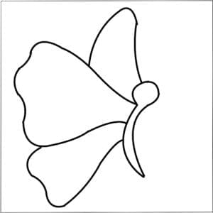 The Butterfly Effect Pack (makes 3) - Image 3