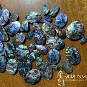 Paua