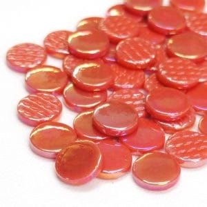 Callistemon Pearl - 18mm